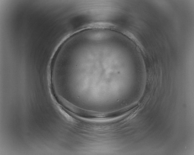 X0000071951083200607071204