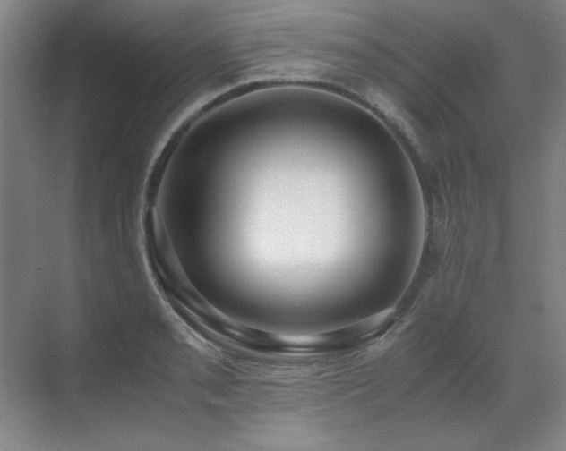 X0000071951085200607071204