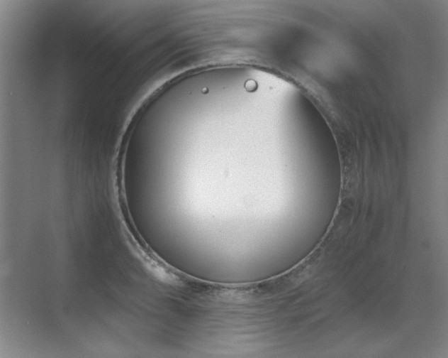 X0000071951086200607071204