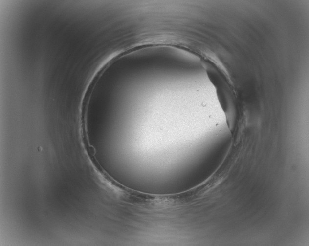 X0000071951087200607071204