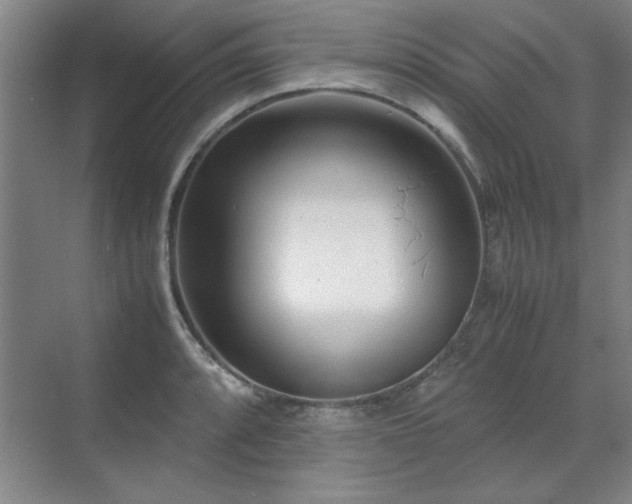 X0000071951088200607071204