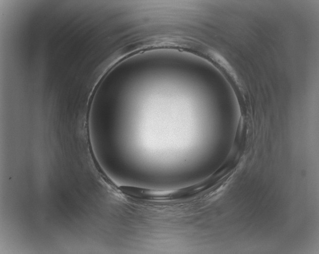 X0000071951089200607071204