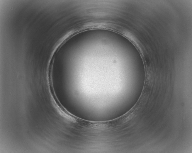 X0000071951090200607071204