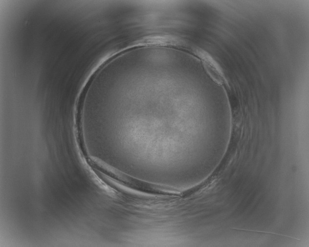 X0000071951091200607071204