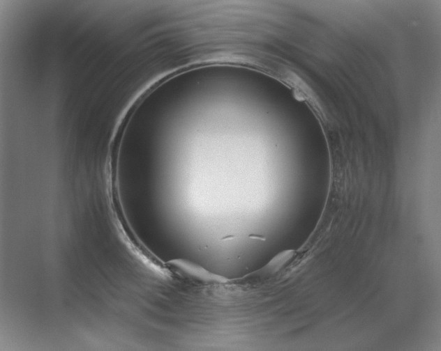 X0000071951092200607071204