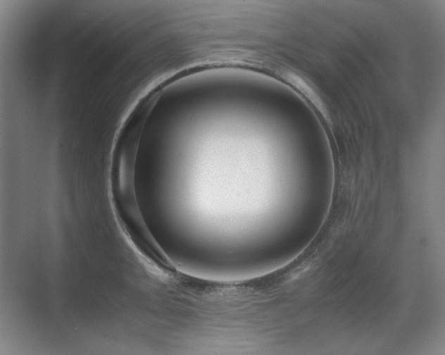 X0000071951093200607071204