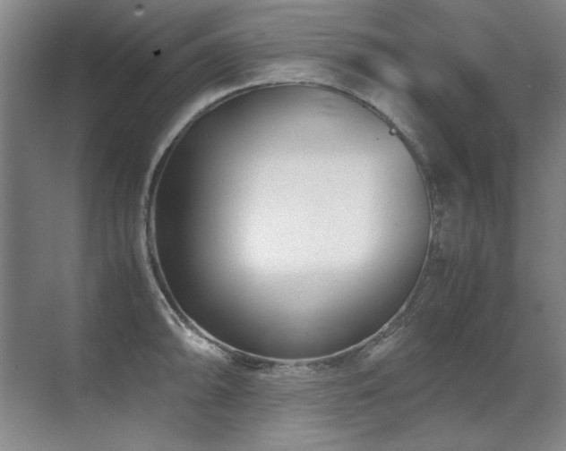 X0000071951094200607071203