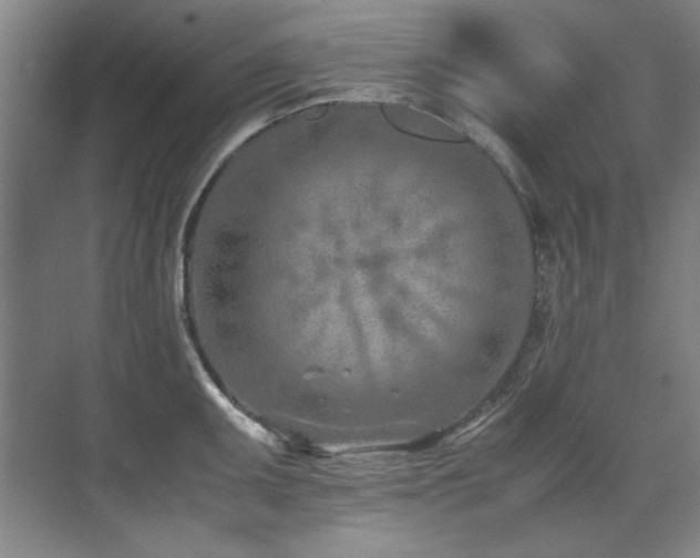 X0000071951095200607071203