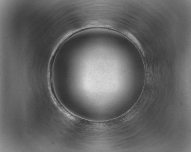 X0000071951096200607071203