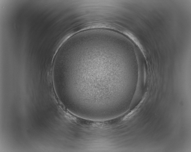 X0000071951097200607071203