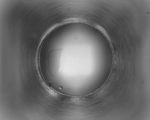 X0000071951098200607071203