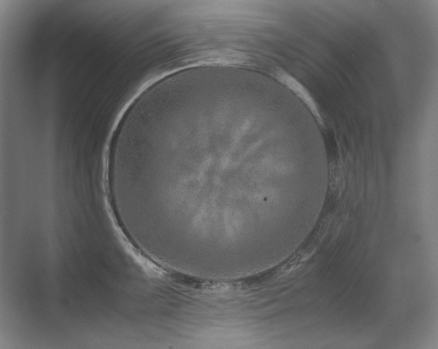 X0000071951099200607071203