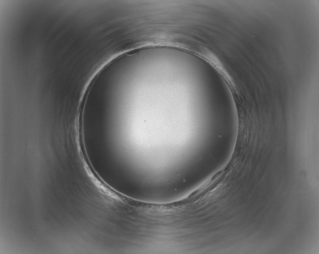 X0000071951100200607071203