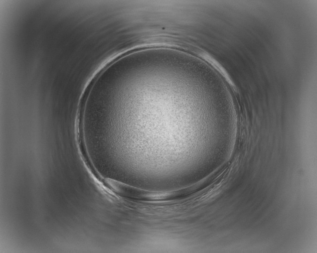 X0000071951101200607071203