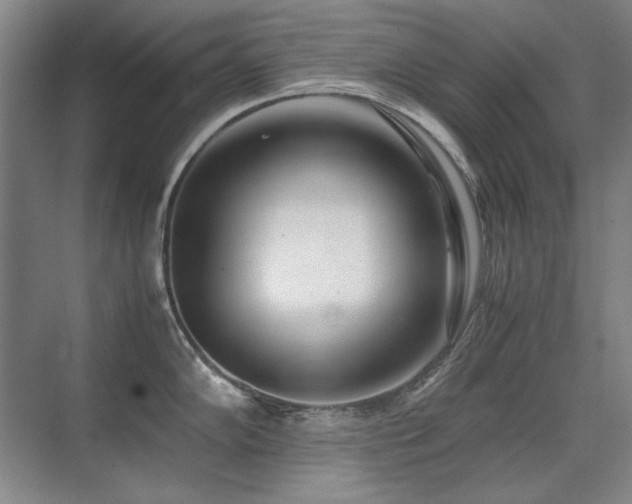 X0000071951102200607071203