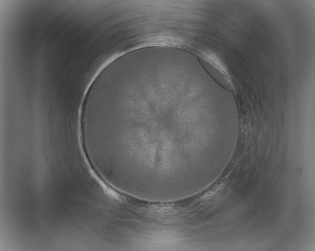 X0000071951103200607071203