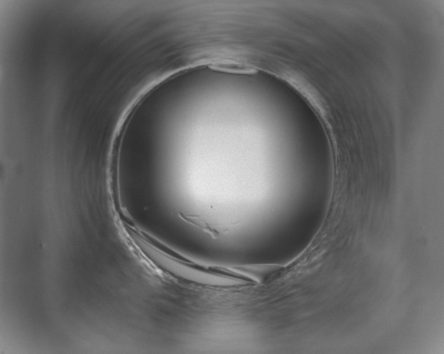 X0000071951104200607071203