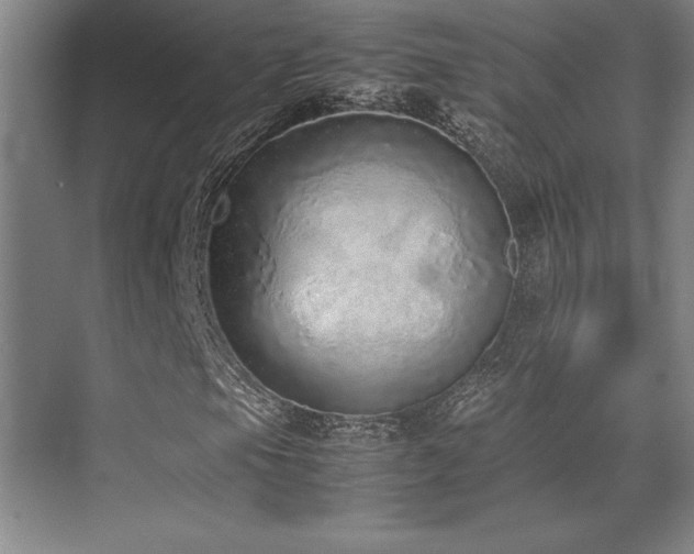 X0000071951105200607071202