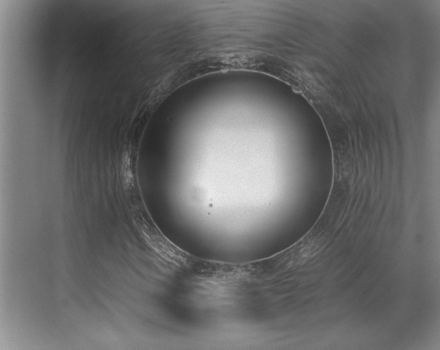 X0000071951106200607071203