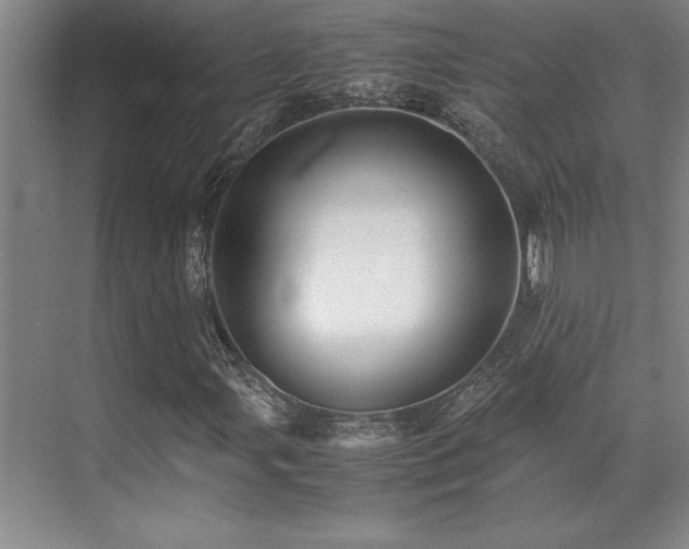 X0000071951107200607071203