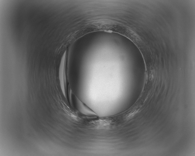 X0000071951108200607071203