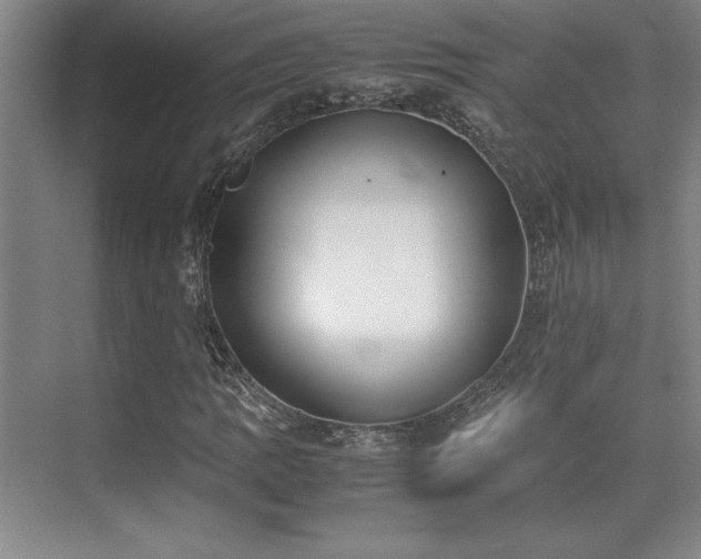 X0000071951109200607071203