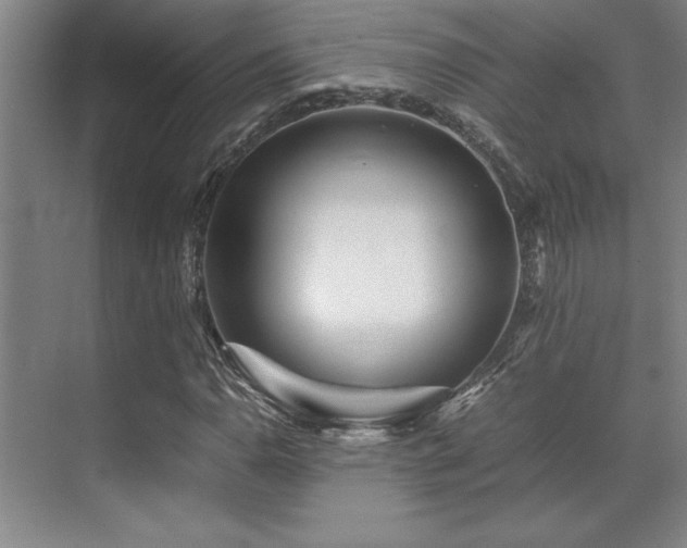 X0000071951110200607071203