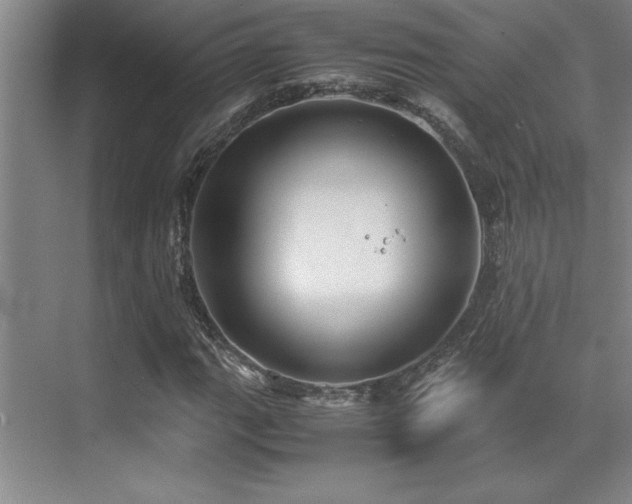 X0000071951111200607071203