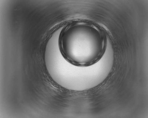 X0000071951112200607071203