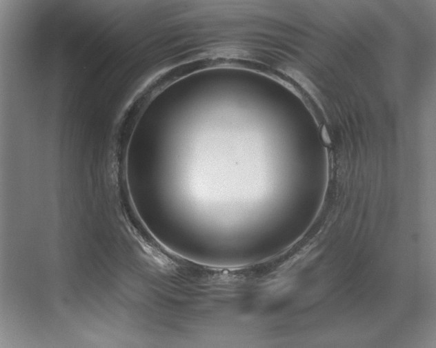 X0000071951115200607071203