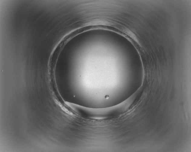 X0000071951116200607071203