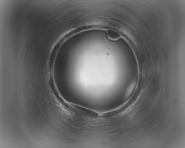 X0000071951117200607071203