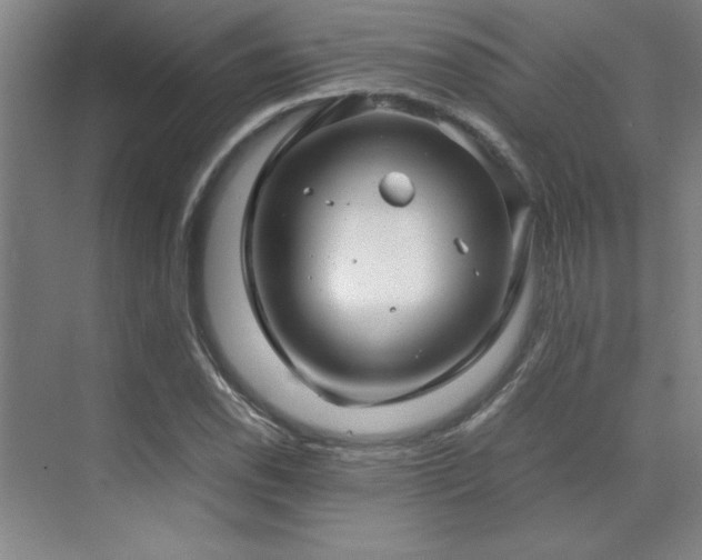 X0000071951118200607071203