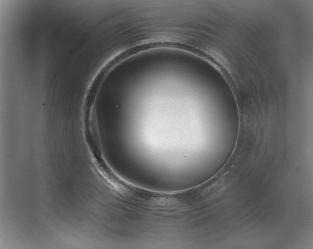 X0000071951119200607071203