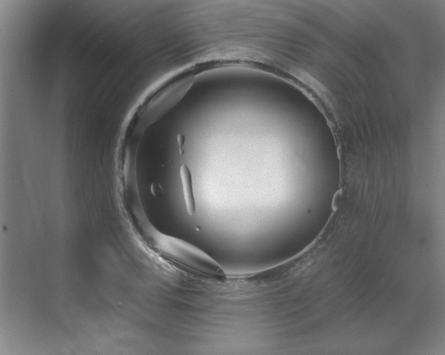 X0000071951120200607071203