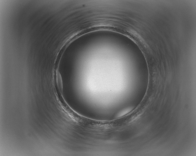 X0000071951121200607071203