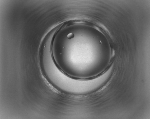 X0000071951122200607071203