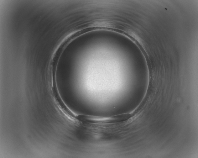 X0000071951123200607071203