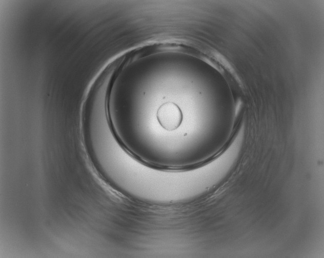 X0000071951124200607071203