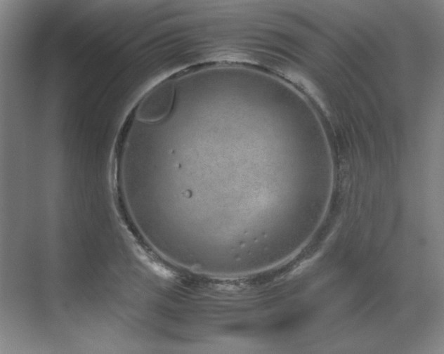 X0000071951125200607071203