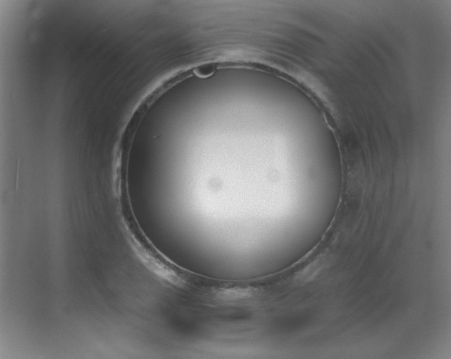 X0000071951126200607071203