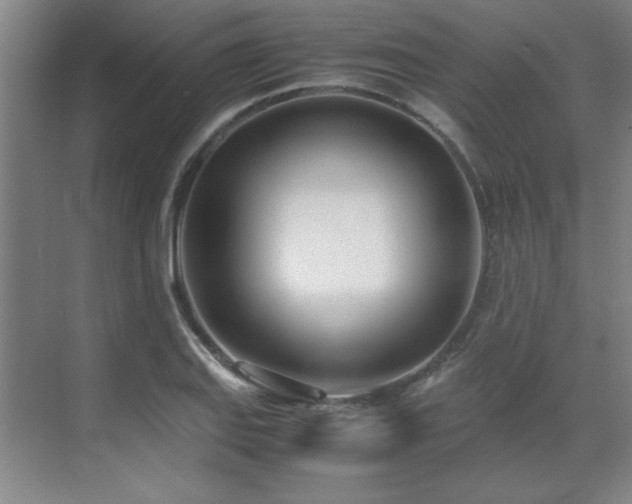 X0000071951127200607071203