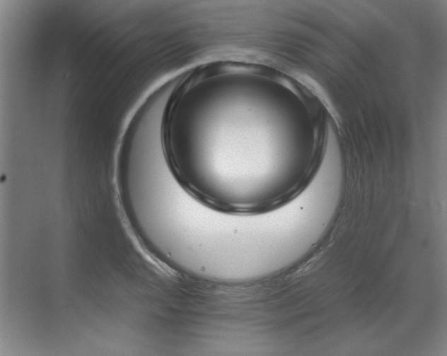 X0000071951128200607071203