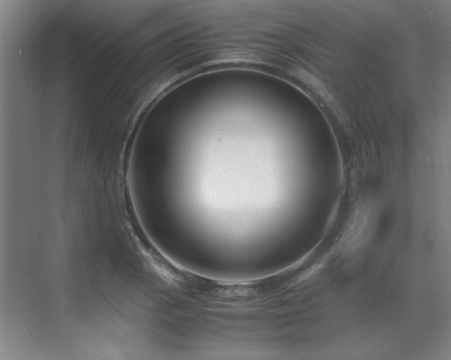 X0000071951129200607071203