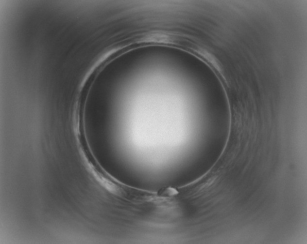 X0000071951131200607071203