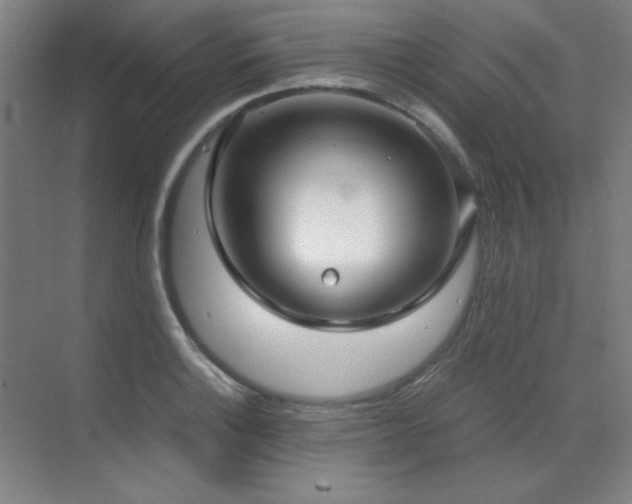 X0000071951132200607071203