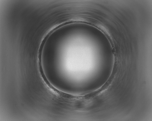 X0000071951133200607071203