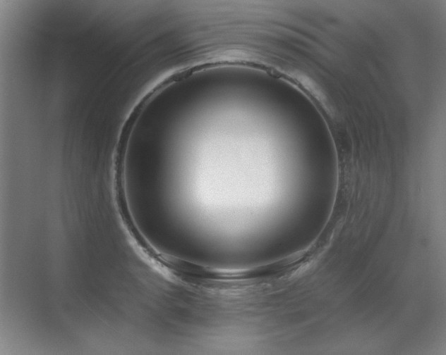 X0000071951134200607071203