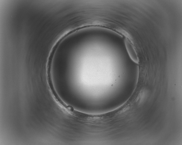 X0000071951135200607071203