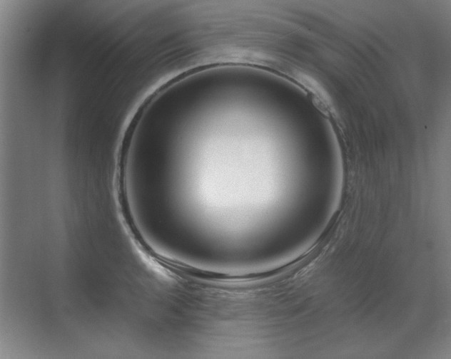 X0000071951136200607071203